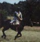 Norman Gambeson